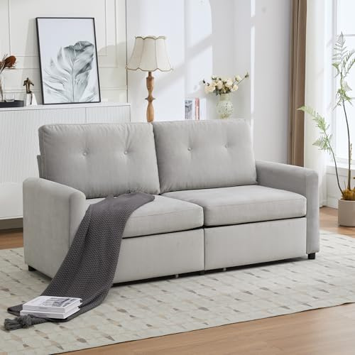 okwish Canapé 2 Places Classique pour Salon, avec Rangement et Tiroirs, Canapé Lounge Confort avec Structure Métallique et Lattes, Coussins de Dossier Souples, Idéal pour Petit Appartement, Gris