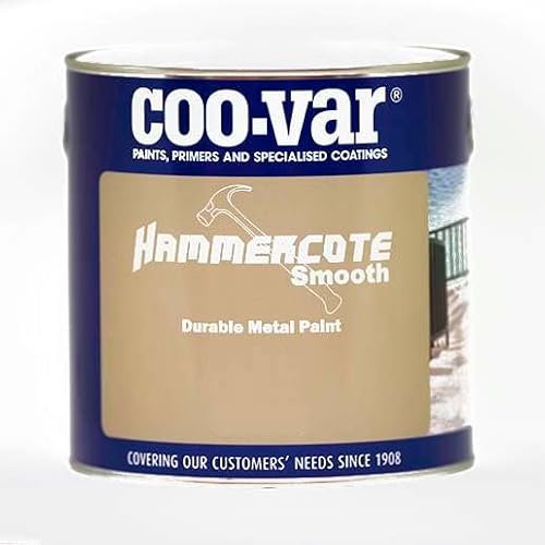 Coo-Var Peinture métal antirouille lisse - extérieur et intérieur - Blanc 500ml