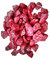 1 Liter Colomi Orchideengranulat Orchideendünger farbig in 4-8 mm | 5 Jahre Dünger | für alle Zimmerorchideen | für Allergiker | Made in GERMANY (rot)