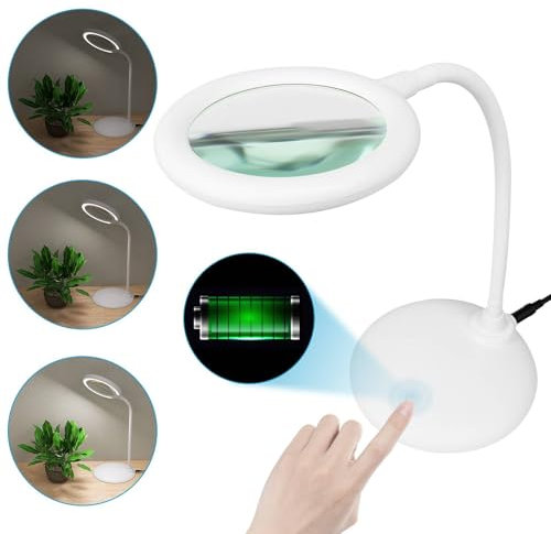 Raweao 5X Lampada con Luce Lente di Ingrandimento, Lente d'ingrandimento con Luce Ricaricabile, Lente Ingrandimento Tavolo con 3 Modalità Dimmerabile Lampada da Ricamo con Lente (Bianco)