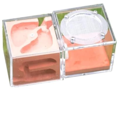 Nido del castello delle formiche in gesso – Palazzo della fattoria delle formiche, kit di apprendimento scientifico for bambini for l'osservazione della colonia di formiche Casetta per formiche(Roze)
