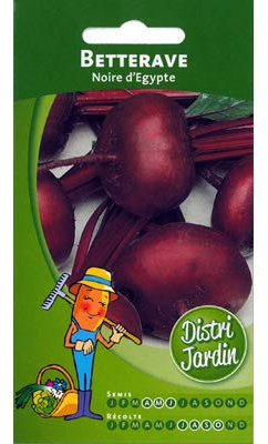 Betterave Noire d'Egypte