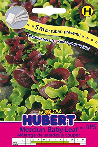 Ruban Présemé de Graines de Mesclun Baby Leaf avec Roquette