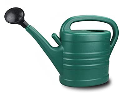 FURUIWUFENG Gartengießkannen Gießkanne mit Sprinklerkopf, Garten Blume Gießkanne GAUENHAUSSCHAFT GROSSER Kapazität Langer Mundsprühflasche 8L Für Hauspflanzen (Size : 8L/2.11Gallon)
