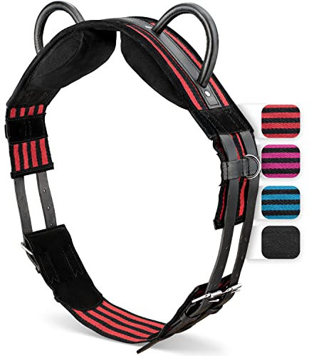 Esposita Reitgurt mit 2 Griffen aus Leder zum Festhalten für Kinder und Reitanfänger - auch geeignet als Longiergurt, Voltigiergurt oder als Holzpferd Zubehör Farbe: Rot-Schwarz Gr. VB/Cob