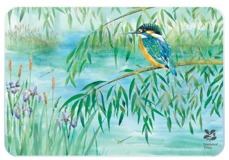 Nt Kingfisher Medium Worktop Protector 30 X 40Cm