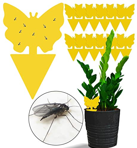 12 Fruit Fly & Fungus Gnat Traps, Double Sided Yellow Sticky Bug Insect Killer for Indoor and Outdoor Plants by unel (12)