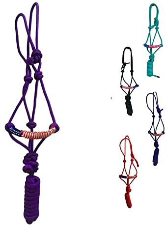 Majestic Ally Licou en Corde tressée en Poly tressé avec Nez Patriotique et Laisse Assortie de 3 m (Violet)