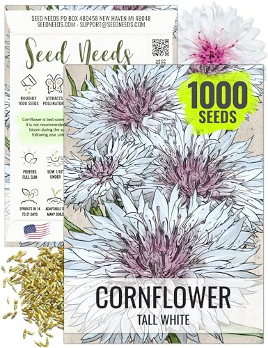 Seed Needs Tall White Cornflower Seeds to Plant Annual Flowers 1 Pack