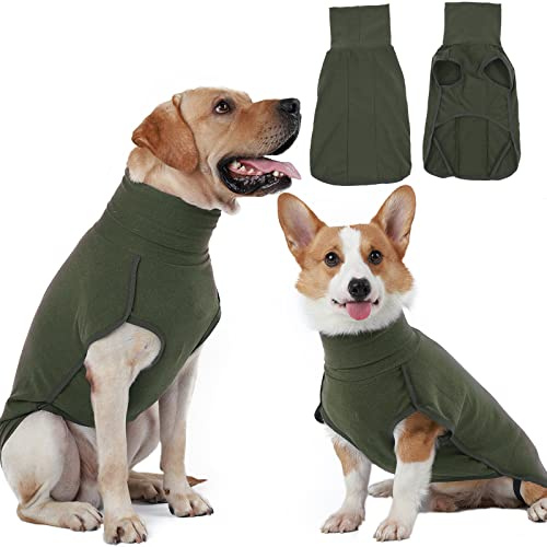 Hjyokuso Cappotto Cane, Vestiti Morbidi e Caldi, Felpa, Maglioncino per Cani Taglia Piccola, Media e Grande - Verde XS