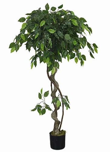 Leaf Realistischer künstlicher japanischer Fruticosa Ficus Baum