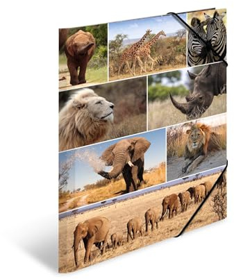 HERMA Sammelmappen A3 Löwe Set, 3 Stück, Kinder Eckspanner-Mappen aus Pappe mit Afrika Tier Motiv, Gummizug, Innenklappen und Innendruck für Jungen und Mädchen