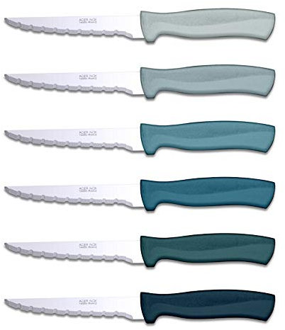 TB Groupe - Set de 6 Couteaux à Steak Record - Lames en Acier INOX - Manches en ABS, Couleurs Assorties - Fabriqués en France - Bleu