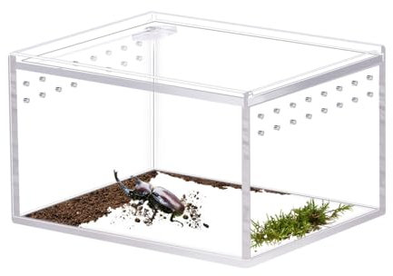 Mini Transparent Terrarium, Acryl Schnecken Critter Box, Reptil Fütterungsbox mit Magnetverschluss-Design für Spide, Skorpion, Käfer, Gottesanbeterin