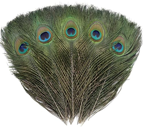 Ballinger 6 PCS Real Natural Big Peacock Eye Feathers 10-12 inch for DIY Craft, Wedding and Holiday Decorations