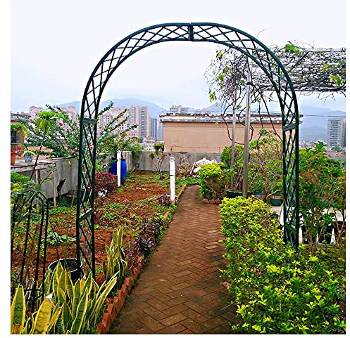 Arche de jardin unique en fer massif, arceau rosiers pour villa, décoration de mariage, 240 x 250 x 40 cm, treillis en métal élégant, paysage extérieur, caractéristique de jardin durable