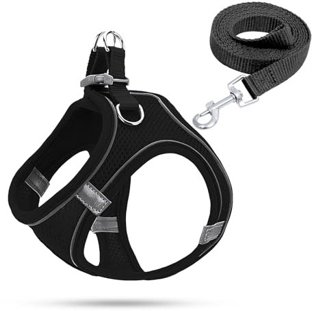 Hundegeschirr Kleine Hunde,Welpengeschirr Katzengeschirr Hunde Geschirr Leuchtend mit Leine,Curli Hundegeschirr Geschirr Hund Welpen Zubehör(Schwarz,XS)