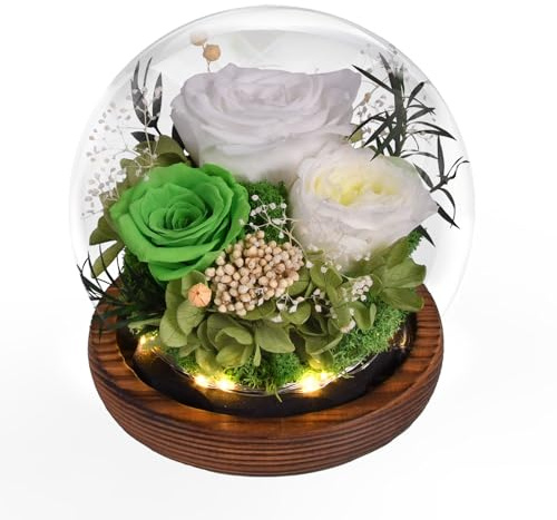 Beinhome Rose éternelle dans Un Verre avec Lumière, Fleurs Infinies Fait à la Main, Cadeau pour Femme Maman Grand-mère épouse Sœur Petite Amie, pour Anniversaire Saint-Valentin Noël Fête des Mères