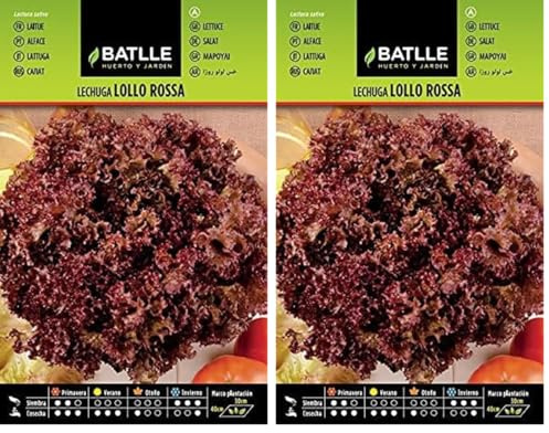 Lechuga LOLLO ROSSA (Paquete de 2)