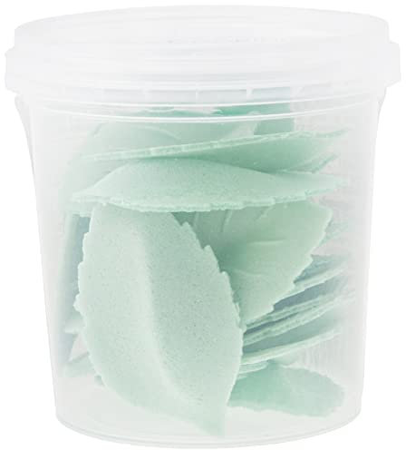 Scrapcooking 2260 Décos Azymes Lot de 24 Feuilles Ingrédients Vert 6,5 x 6,5 x 7 cm