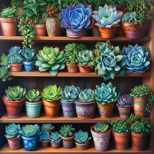 Peinture Numero Adulte Plantes succulentes, DIY Peinture Acrylique pour Adultes Enfants Débutants Facile sur Toile,avec Peintures et Pinceaux, Peinture à l'Huile sur Toile, Decor Cadeau 80x80cm S-491