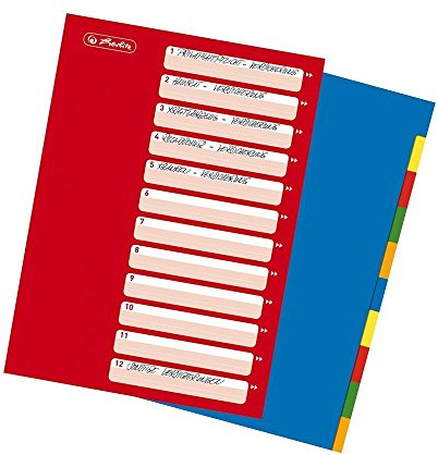 Lot d'10 herlitz Registre de classeur A4, 10 pièces en film plastique, perforés, 1