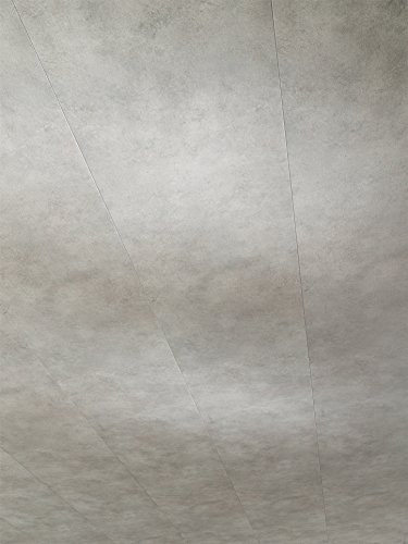 Parador Wandpaneele Deckenpaneele MilanoClick Beton