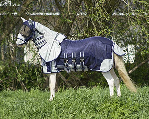 Horse Fly Blanket QHP Falabella