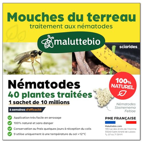 Nématodes Contre Les Mouches du Terreau 10 Millions - Traitement Bio Nématodes Longue Durée - Anti Mouches des terreaux - pour Traiter 40 Pots - Maluttebio