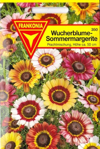 Wucherblume, Sommermargerite, Chrysanthemum carinatum, ca. 200 Samen