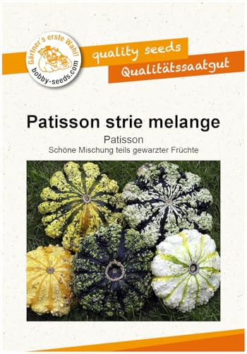 Patisson strie melange Kürbissamen von Bobby-Seeds, Portion