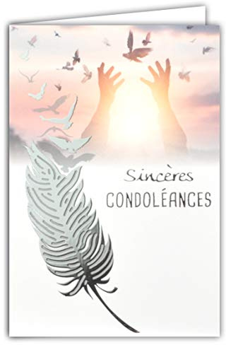 Afie - Tarjeta de sinceras condolencias pequeña, formato gris, fallecimiento, paisaje pacífico, sol, golpeado, pájaros, palomas manos paz, agua, lago hierba gramada, fabricada en Francia