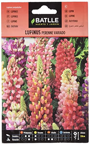 Semillas Batlle Lupinus perenne Vario