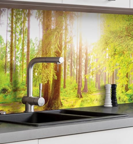 MyMaxxi Küchenrückwand Folie selbstklebend matt - einfache Montage ohne Bohren 0,4mm stark versteift - Motiv Wald 60cm hoch - Spritzschutz Küche Klebefolie - Bäume Lichtung Tannen 120 x 60cm