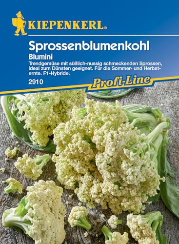 Kiepenkerl Profi-Line Sprossenblumenkohlsamen Blumini, F1 2910 - Trendgemüse mit süßlich-nussig schmeckenden Sprossen - Samen Gemüse, Gemüsesamen, Saatgut