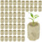 HOMURY Cubo de lana de roca, 100 unidades, lana de roca, redondos, para cultivo hidropónico, para cultivo sin suelo, siembra, plantas clónicas, cultivo hidropónico