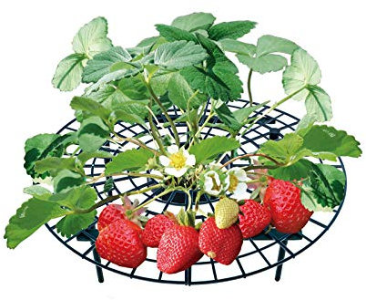 UPP rejillas para soporte de fresa I marco para elevar fresas y otras plantas en huerta I protege la fruta contra hongos e insectos I protege tus cultivos en el jardín (30-40cm, set de 5)