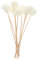 CORHAD 10er Set Duftstäbchen Mit Chrysanthemenblüten Rattan-diffusoren Für Duftstäbchen Für Zuhause