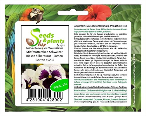 Pcs - 15x Pensées Suisse Géant Silberbraut - Graines Jardin KS232 - Seeds & Plants Shop by Ipsa