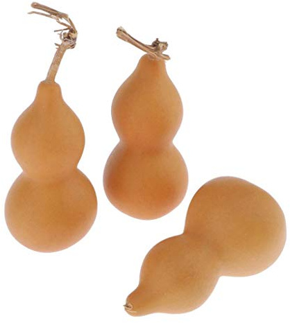 Zucca secca 3 pezzi Zucca decorativa Calabash Zucca secca | Zucca in bottiglia