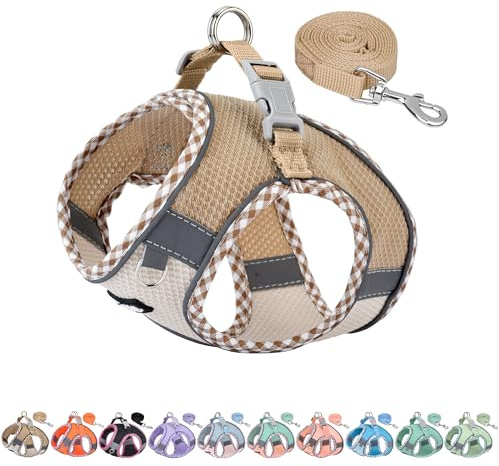 AIITLE Ensemble Harnais et Laisse pour Chien pour la Promenade, Harnais pour Chiot, Bandes réfléchissantes, pour très Petits Chiens et Chats domestiques Marron-Beige XXXS