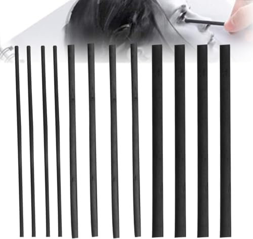 Diyxisk Kohlestifte zum Zeichnen,12 Stücke Schwarz Kohlestifte Zeichenstifte Holzkohle Ideale Zeichenstifte in Aluminium Case,für Skizzen und Beeindruckende Zeichnungen Kohlestifte