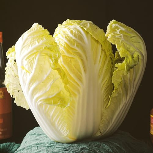 cavolo cinese, semi di pak choi, resistenti balcone serra giardino sul balcone aromatiche da giardino esotico verdi sostenibili 300pcs