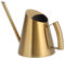 Gießkanne Metall, Giesskanne Gold Kleine Gießkanne Zimmerpflanzen mit Langer Auslauf für Pflanzen Zimmerpflanze (900ML)