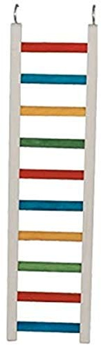 Paradise Toys 24-Inch Wood Parrot Ladder