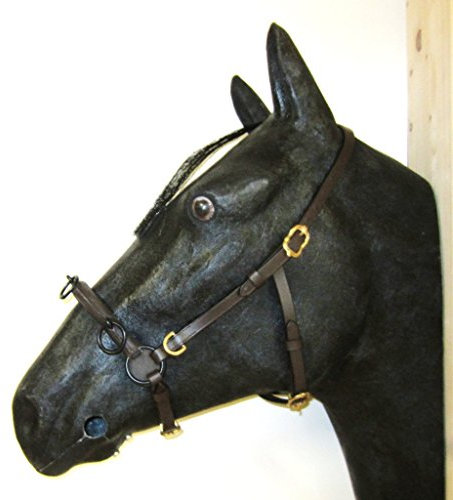 PS Pferdeartikel Französischer Kappzaum Cavecon/Cavesson mit D-Ringen Soft - Gr. Full Farbe Braun mit goldenem Beschlag