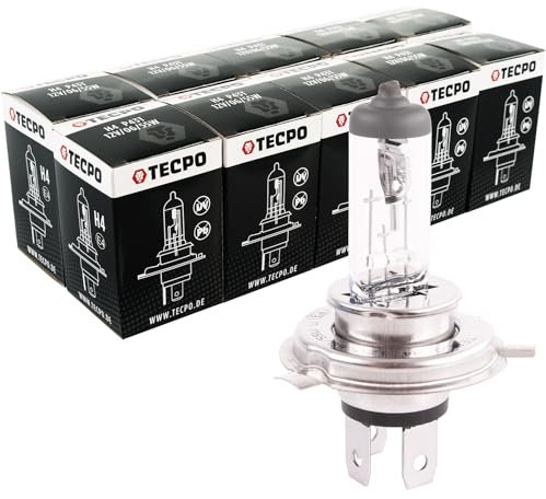 TECPO 10x H4 Lampen Set 12V 60/50W P43t Autolampe Glühlampe Birnen Glühbirne
