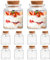 heavenlife 10 Stück Mini Glasflaschen mit Korken, Gewürzgläser 50ml, Einmachgläser, Kleine Phiolen zum Befüllen Quadratisch für Hochzeit Party Küchengewürze