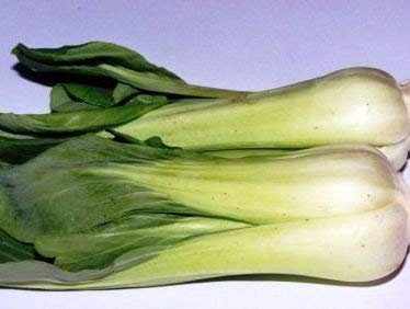 200 Semi di Pak Choi (stelo Bianco) - Brassica rapa V. Chinensis