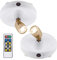 BIGLIGHT Spotlight Battery Operated, LED Puck Light, Dimmable Uplight with Remote, Stick on Accent Light for Painting Picture Wall Artwork Photo Portrait Closet Plants, Warm White, 2 Pack